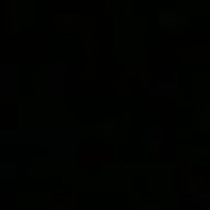 Meet your Posher, Terry antoney